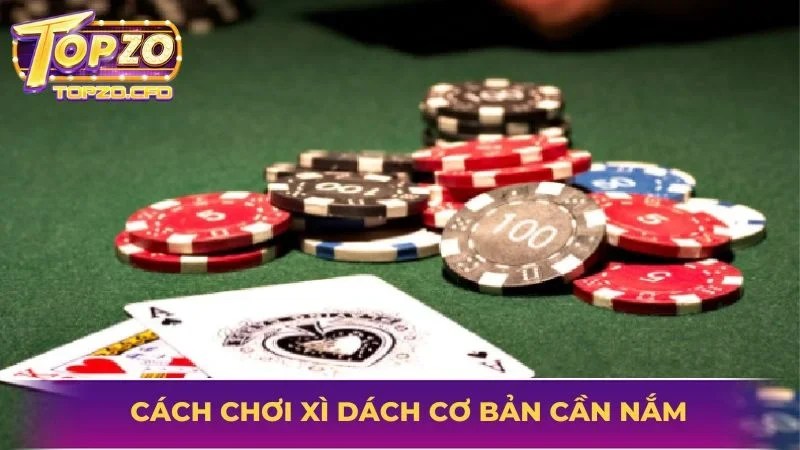 Quy tắc chơi chung dành cho người mới