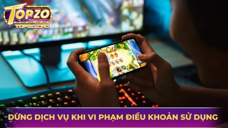 điều khoản sử dụng topzo